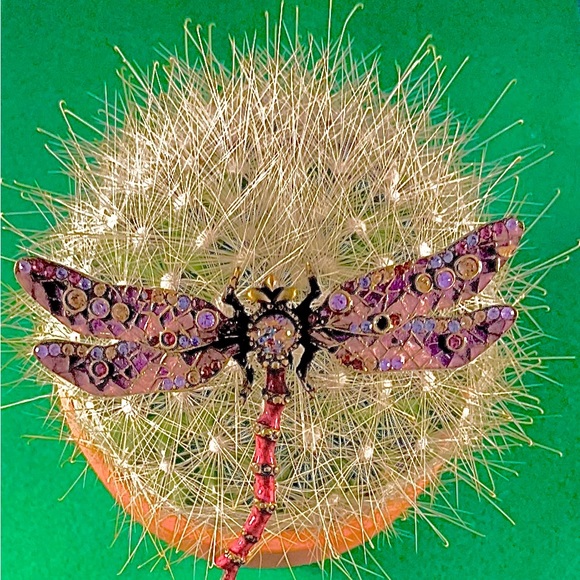 Signed Jay Stongwater pin - Picture 4 of 12